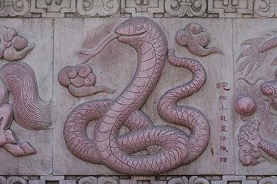 探索旧苏联实验区生存恐怖游戏《再生》公布