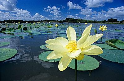 Embracer裁员1400人后表示将保证股东利益