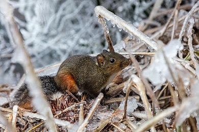 游戏硬件产业迅猛发展 研究机构预测5年后支出将达到1350亿美元